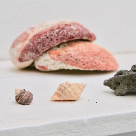 Casa Yerida Leilighet Cotillo Eksteriør bilde